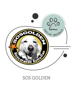 SOSGOLDEN  - 1