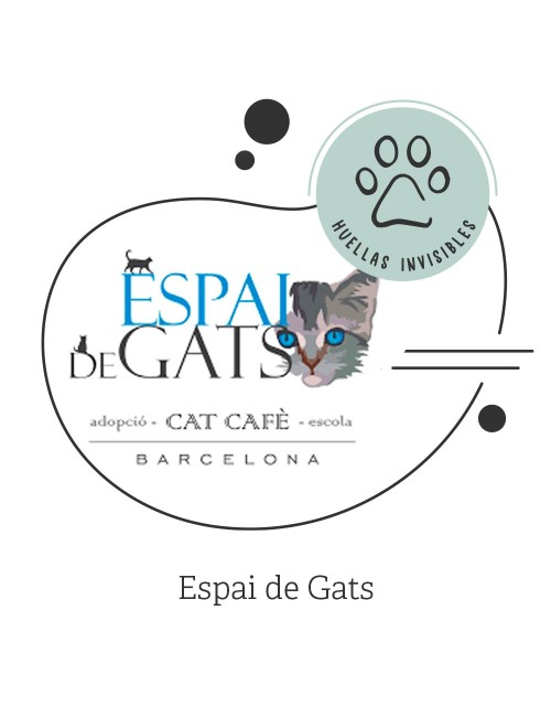 Espai de Gats  - 1