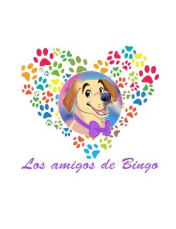 Los Amigos de Bingo  - 1