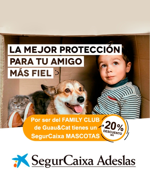 Oferta SegurCaixa Adeslas  - 1