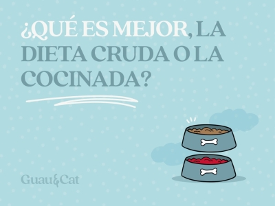 ¿Es mejor la dieta cruda/BARF o cocinada?