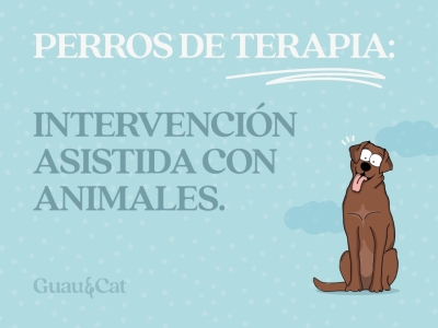 Perros de terapia e Intervención Asistida con Animales (IAA)