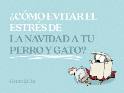 ¿Cómo evitar el estrés de la Navidad a tu perro y gato?