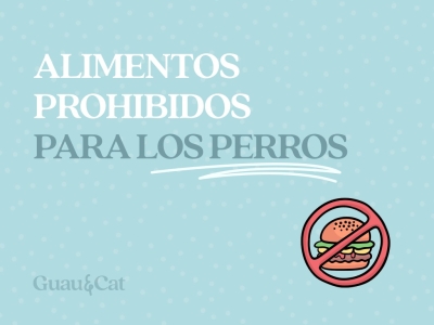 Alimentos prohibidos para perros