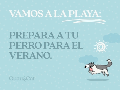 Consejos para ir con tu perro a la playa