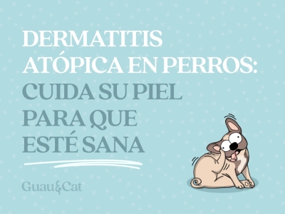 Dermatitis atópica en perros: cuida su piel para que esté sana