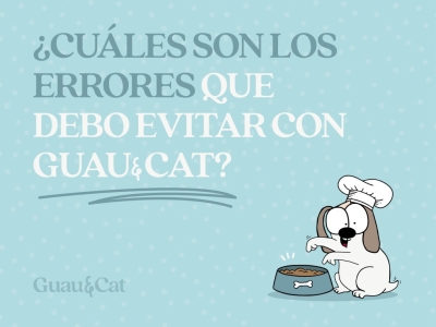 ¿Qué errores debo evitar con Guau&Cat?