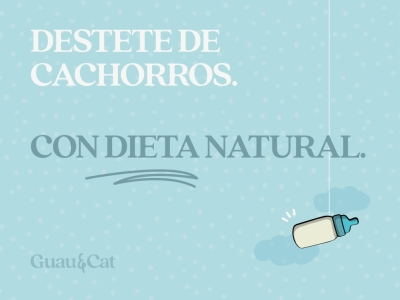 Destete de cachorros con dieta natural: guía para una alimentación saludable